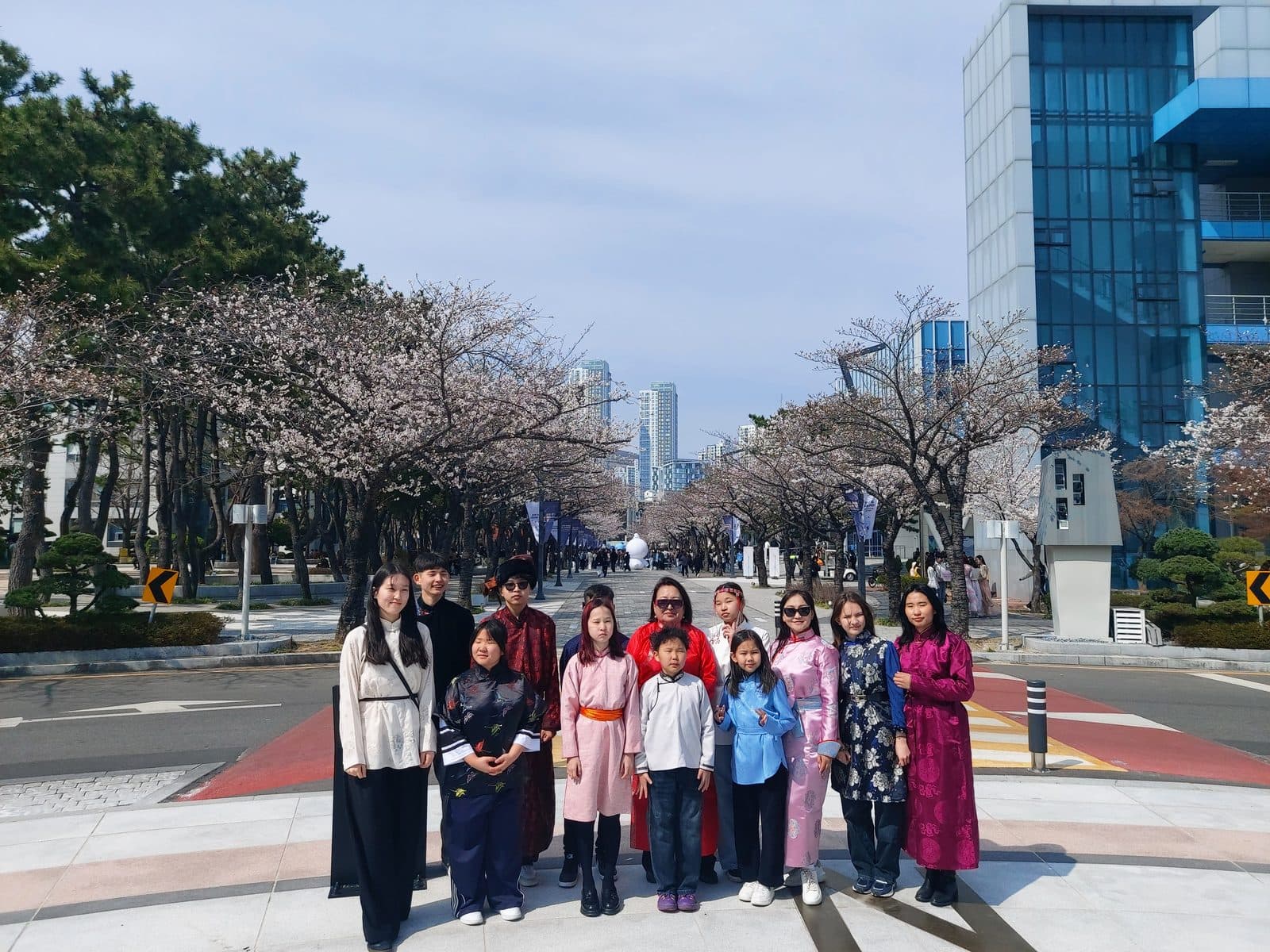 Spring cherry blossom walk